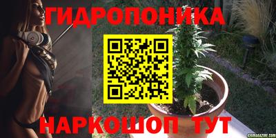 стафф Азнакаево