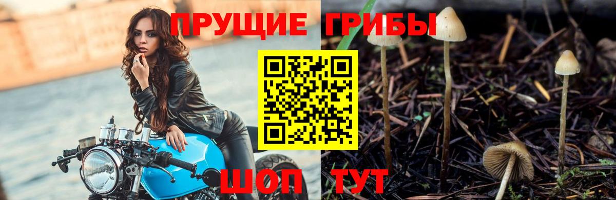 Лсд 25  Экстази  Вход с VPN  Ангарск  Конопля  Мефедрон   ГАШ 
